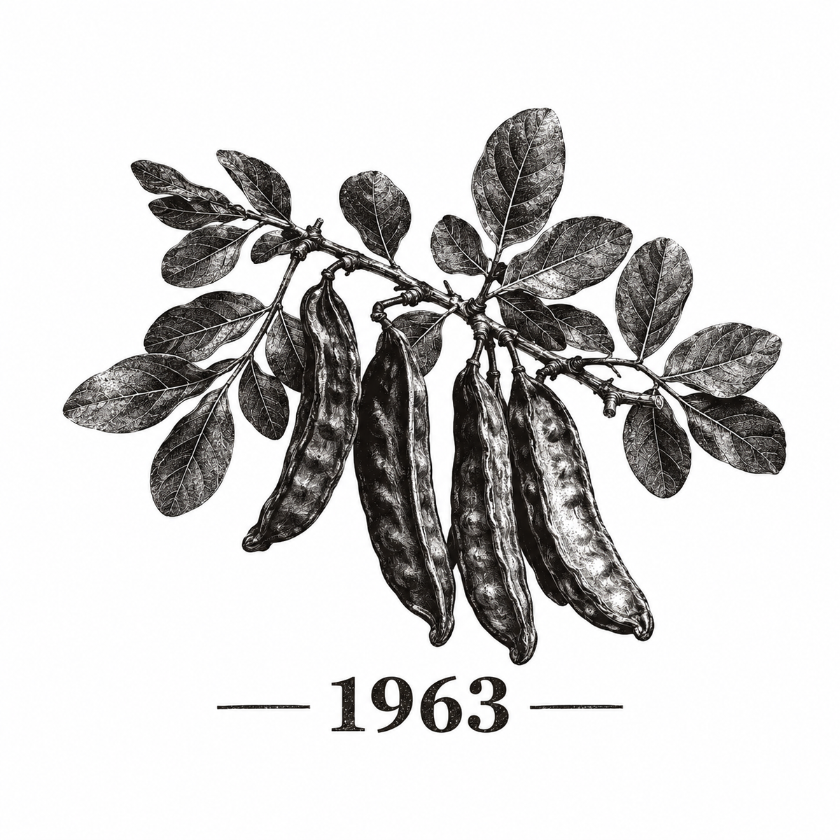 Carob Tshirt